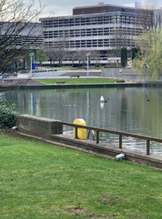 Image of low wall looking over lake